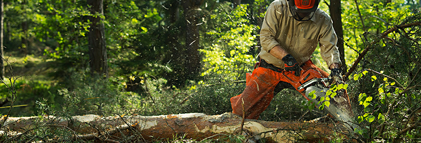 Forstarbeiter arbeitet mit einer Kettensäge von Husquarna. Er trägt dabei ein Waldarbeiterhelmset und eine Schutzkleidung.