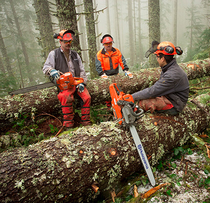 3 Forstarbeiter arbeiten im Wald mit Kettensägen von der Marke Husquarna und tragen eine Schutzkleidung.