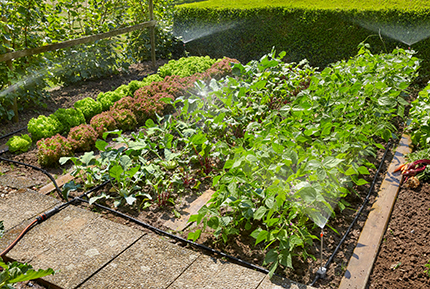Beete im Garten werden von einer automatischen Bewässerungsanlage gespritzt