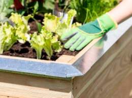 1321069 - Hochbeet Schneckenschutz Ecke, 4 Stk.