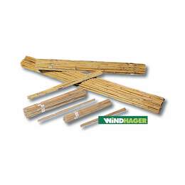 1020322 - Tonkinstab Bambus