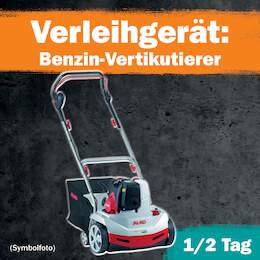 1288674 - Benzin-Vertikutierer 1/2 Tag Leihdauer